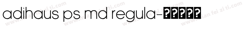 AdiHaus PS Md Regula字体转换